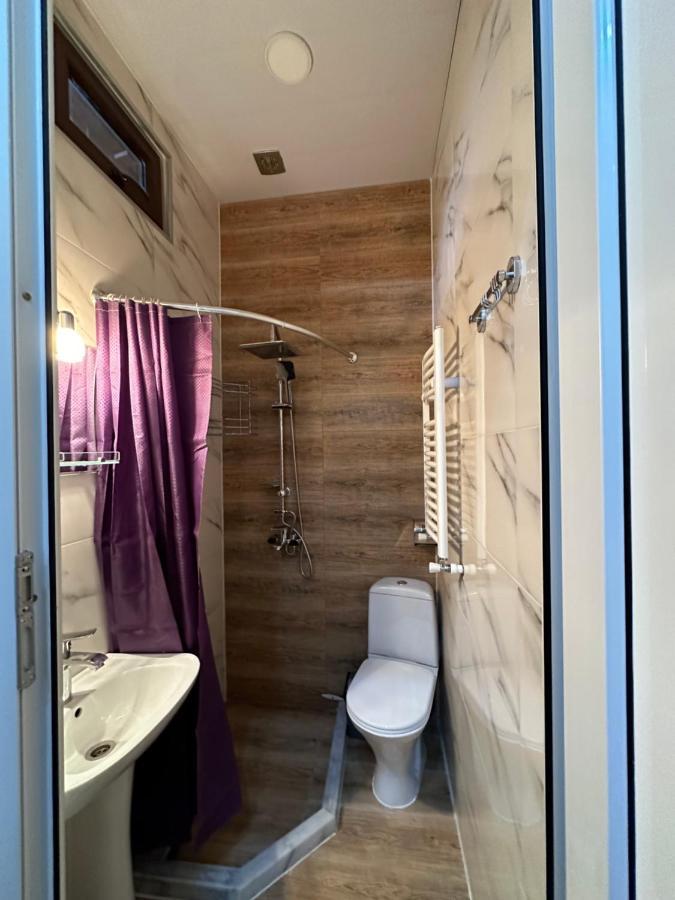 Apartment Silver Tbilisi